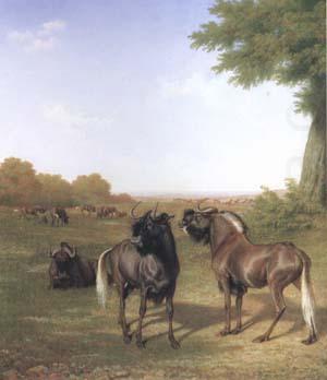 White-Tailed Gnus (mk25), Jacques-Laurent Agasse